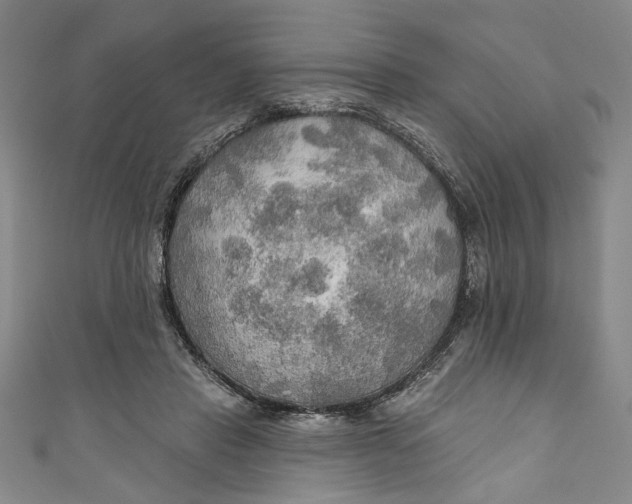 X0000111170453200907221031