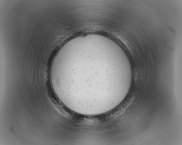 X0000111170455200907221031