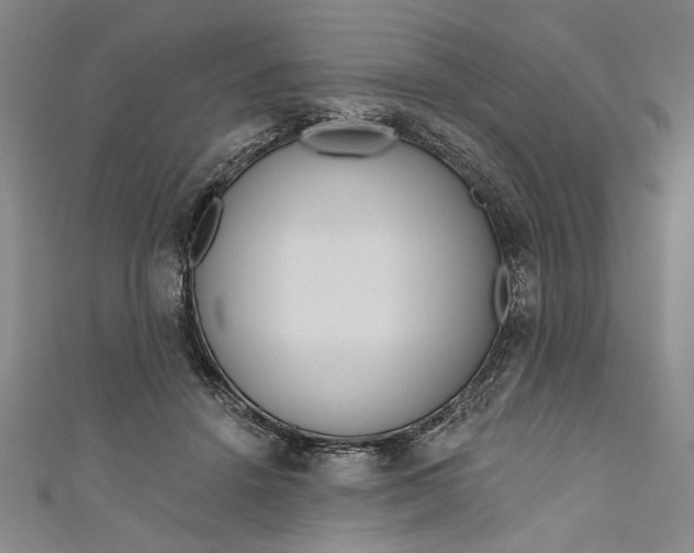 X0000111170456200907221031