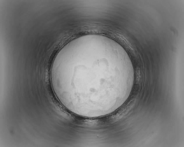 X0000111170457200907221031