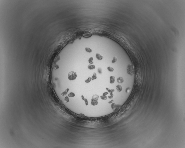 X0000111170458200907221032