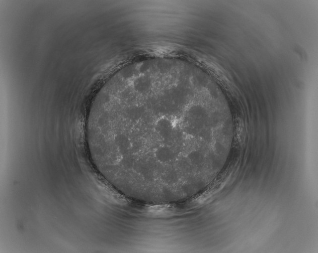 X0000111170461200907221032