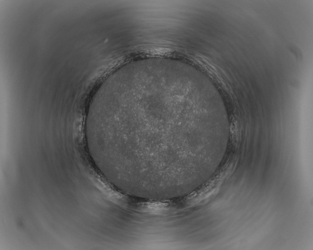 X0000111170462200907221032