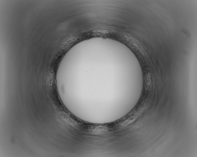 X0000111170463200907221032