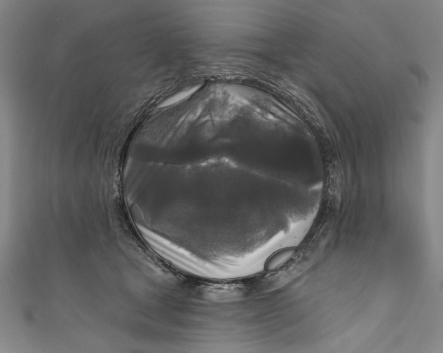 X0000111170465200907221032