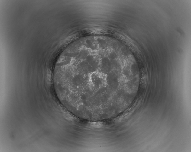 X0000111170469200907221032