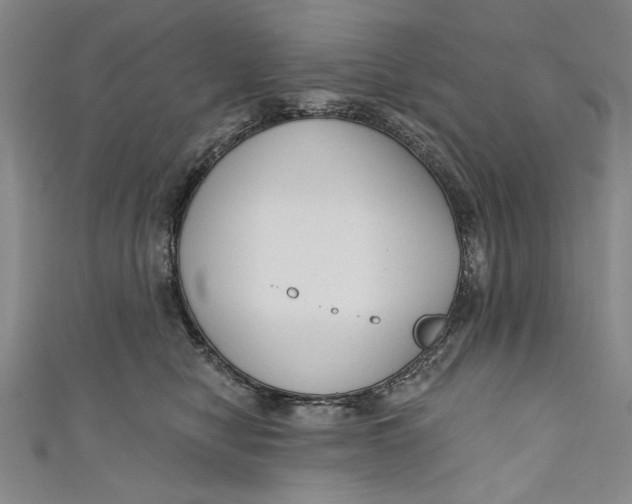 X0000111170470200907221032