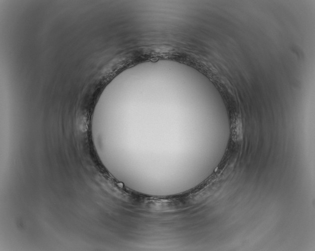 X0000111170472200907221032