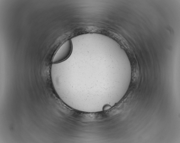 X0000111170473200907221032