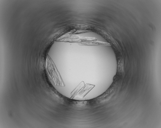 X0000111170474200907221032