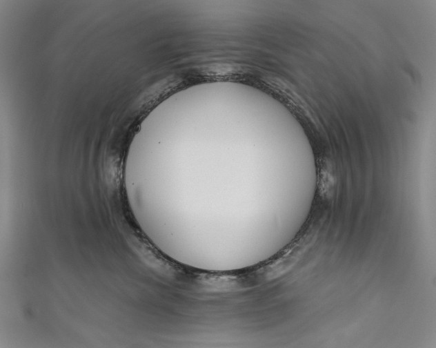 X0000111170476200907221032