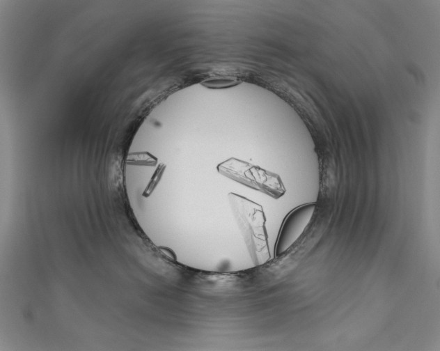 X0000111170478200907221032