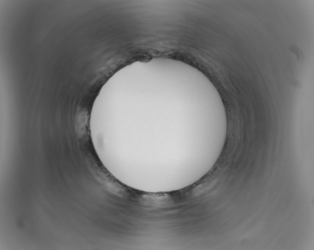 X0000111170480200907221032