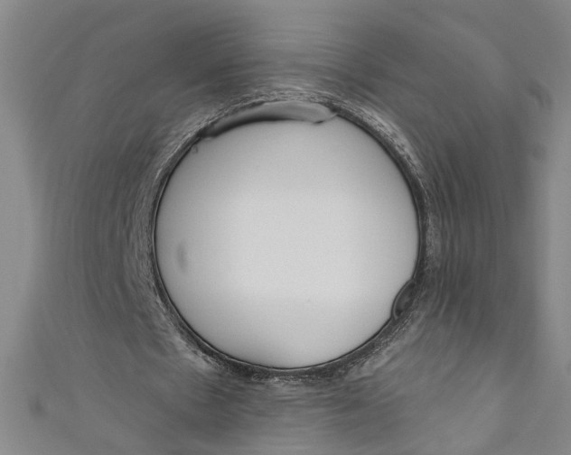 X0000111170481200907221031