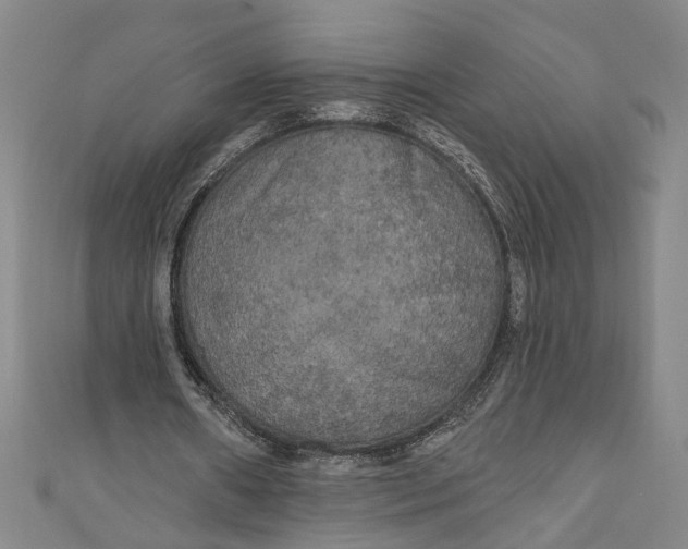 X0000111170482200907221031