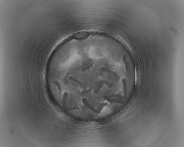 X0000111170483200907221031