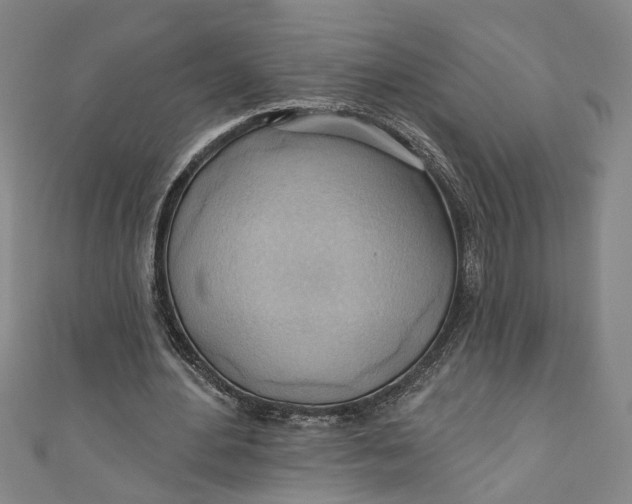 X0000111170484200907221031