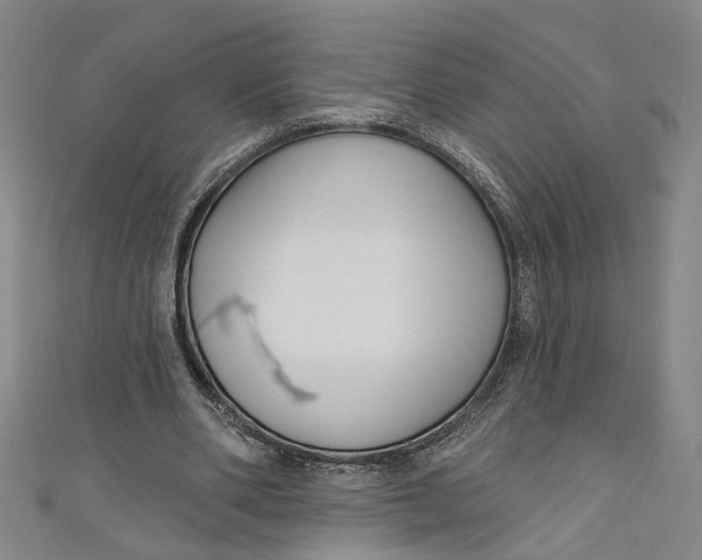 X0000111170486200907221031