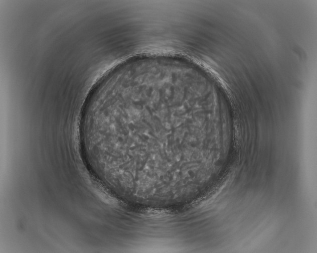 X0000111170487200907221031