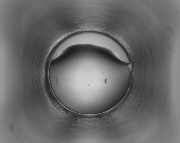 X0000111170488200907221031