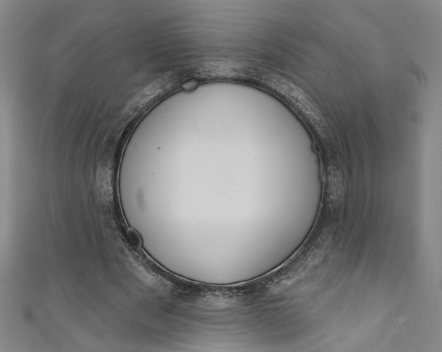 X0000111170489200907221031