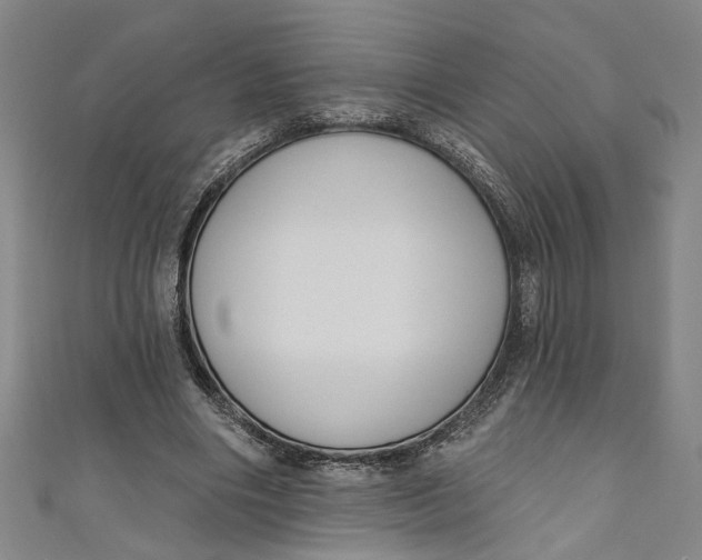 X0000111170490200907221031