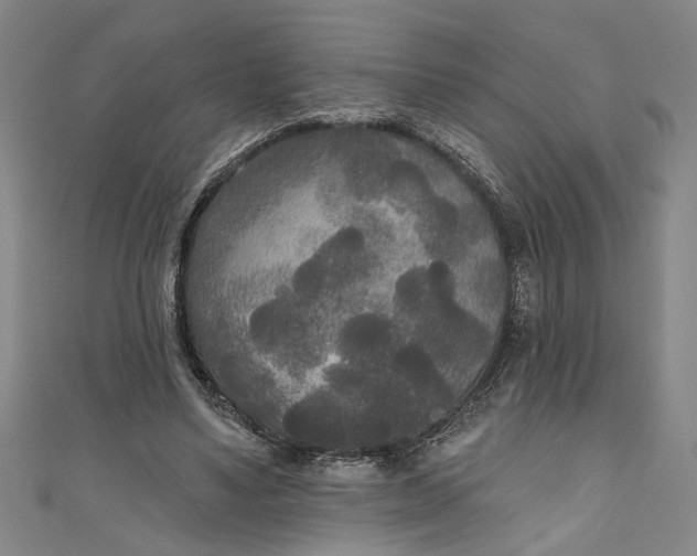 X0000111170491200907221031