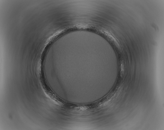 X0000111170492200907221031