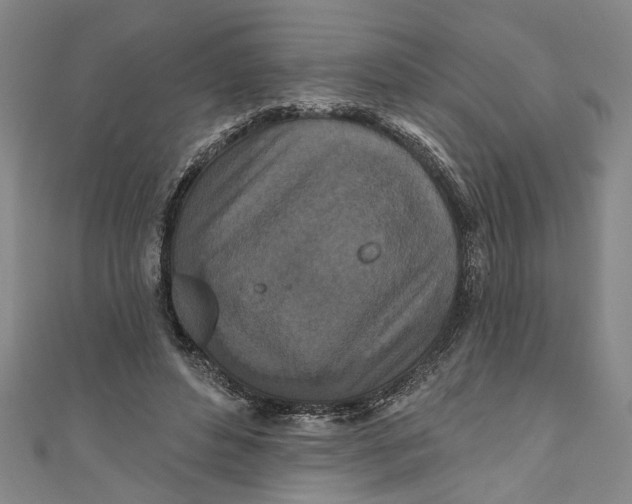 X0000111170496200907221031