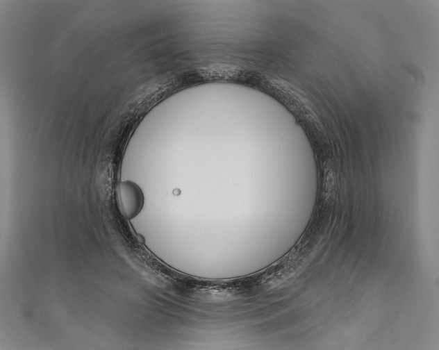 X0000111170498200907221031