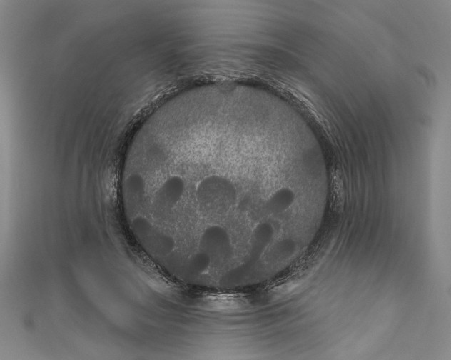 X0000111170499200907221031