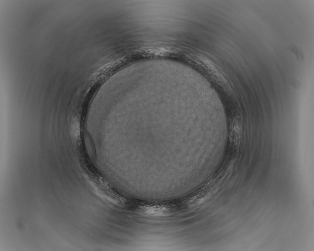 X0000111170500200907221031