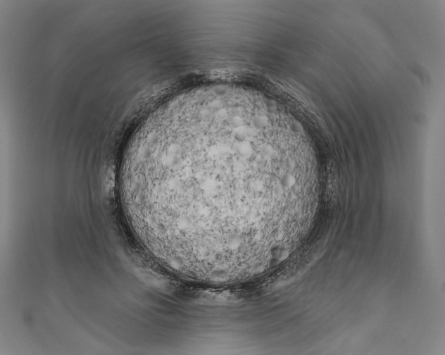 X0000111170502200907221031