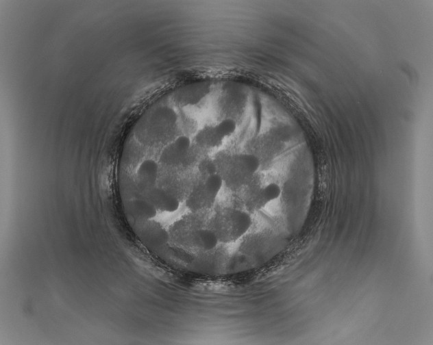 X0000111170503200907221031