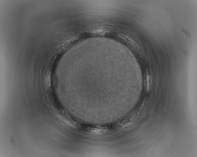 X0000111170504200907221031