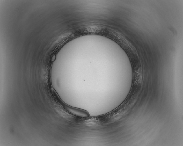 X0000111170505200907221031