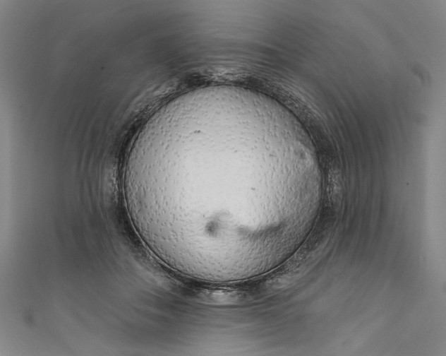 X0000111170506200907221031