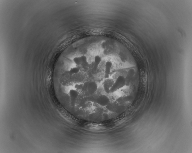 X0000111170507200907221031