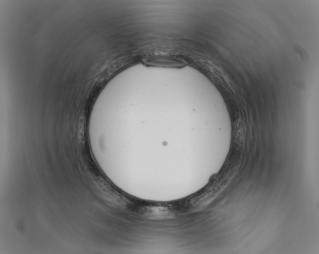 X0000111170509200907221031