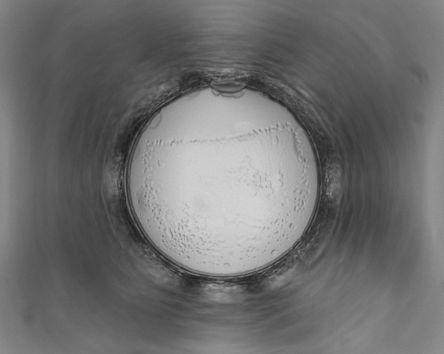 X0000111170515200907221031