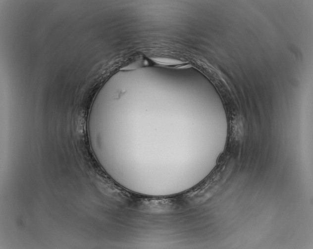 X0000111170517200907221031