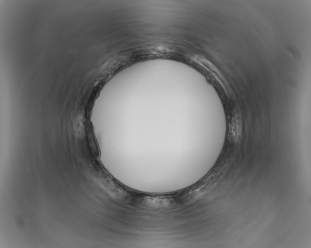 X0000111170520200907221030