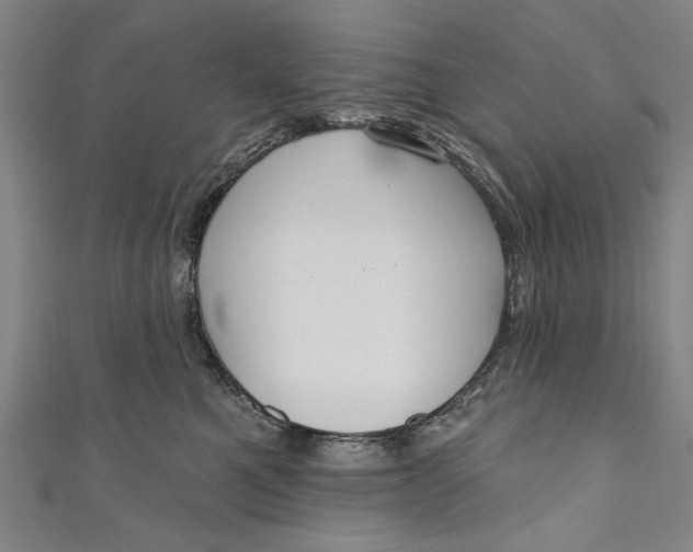 X0000111170521200907221030