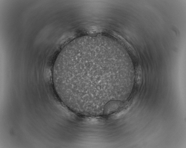 X0000111170523200907221030