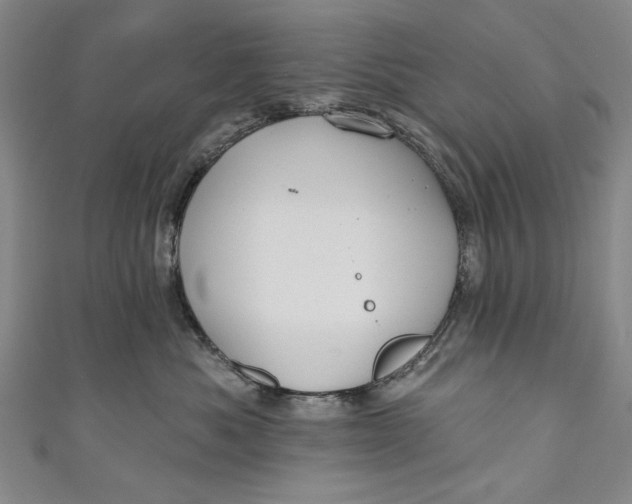 X0000111170525200907221030