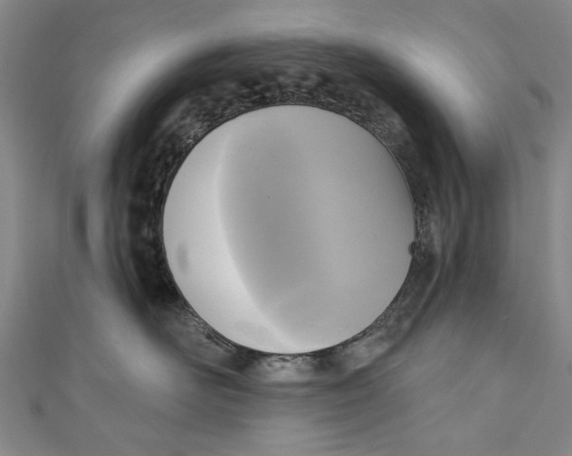 X0000111170526200907221030