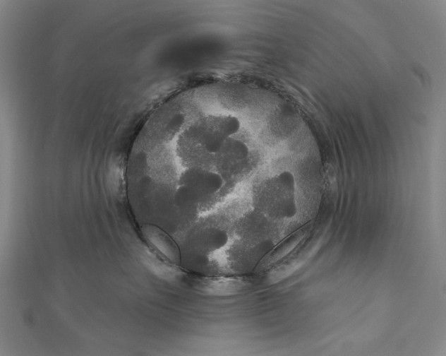 X0000111170527200907221030