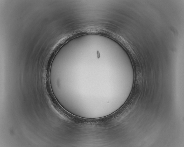 X0000111170530200907221030