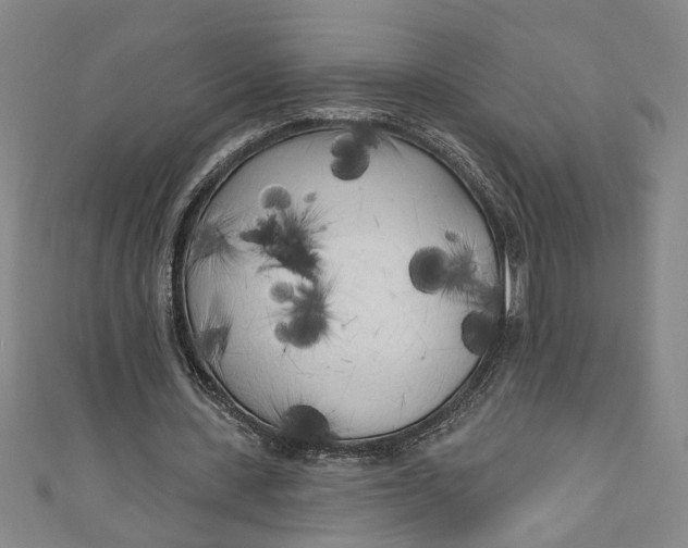 X0000111170531200907221030