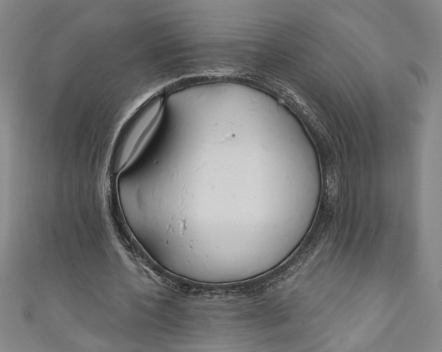 X0000111170532200907221030